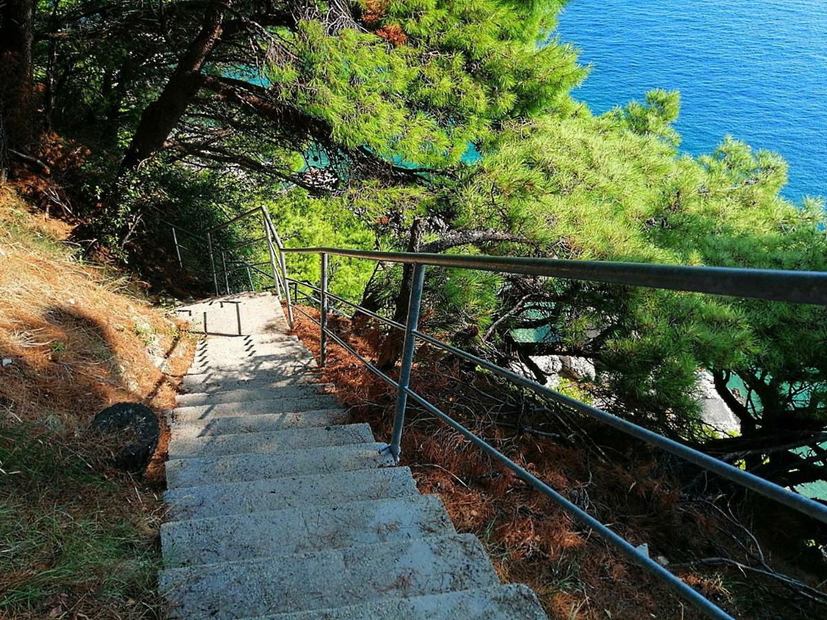 Apartments Villa Jadranka Marusici  Екстер'єр фото